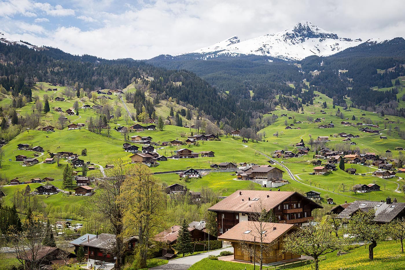 Valberg station de ski réputée des alpes du sud de la france vous accueil aussi bien l'été que l'hiver